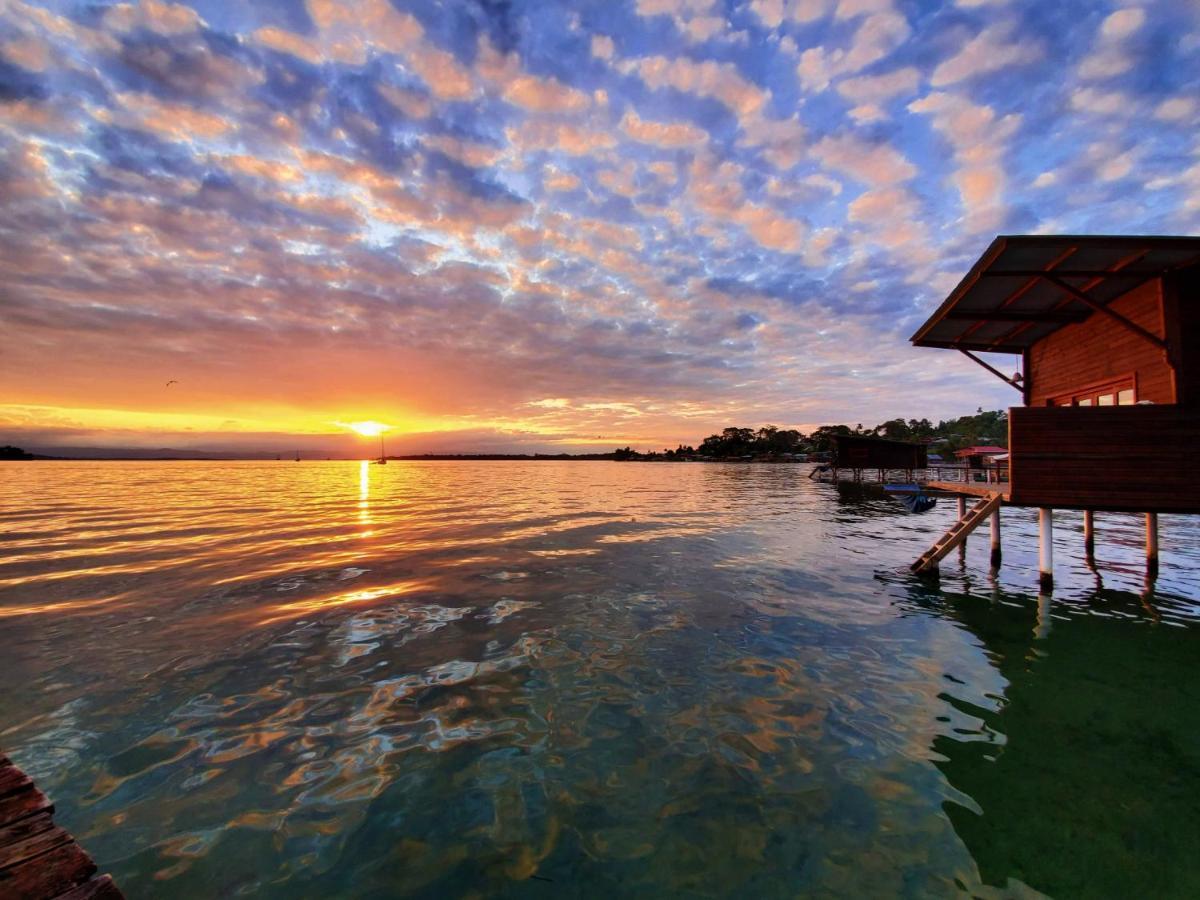 The Sea Monkey Hotel Bocas Town Kültér fotó