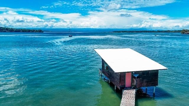 The Sea Monkey Hotel Bocas Town Kültér fotó